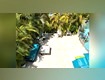 Thumbnail 25
